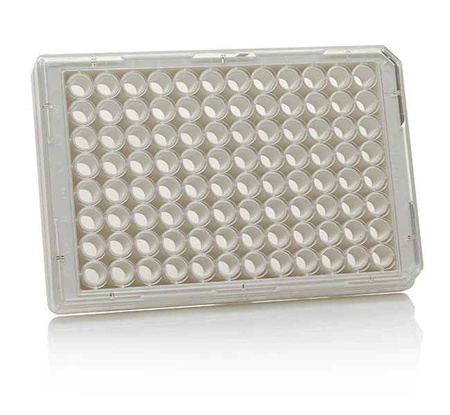 96-Well White Microplate/ Clear Lid TC-Treated, Sterile