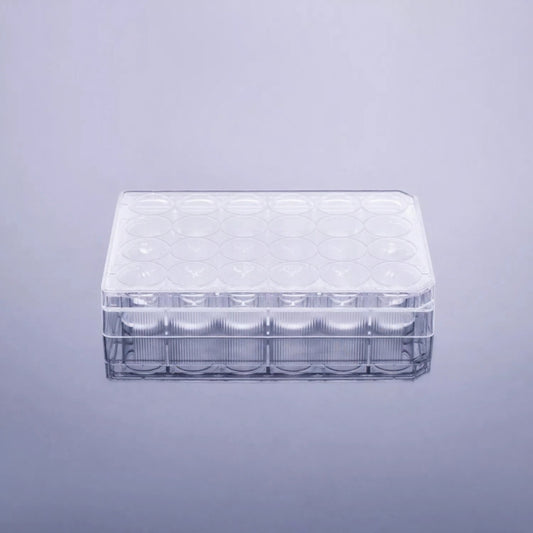 24‑Well Clear Flat‑Bottom Cell Culture Plate Non‑Treated Surface Sterile