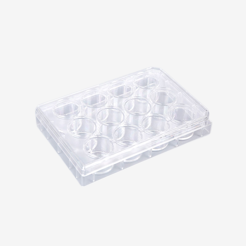 12-Well Transparent TC-Treated Cell Culture Plates with Clear Lid, Sterile