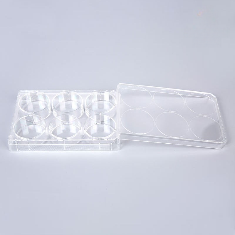 6-Well Transparent TC-Treated Cell Culture Plates with Clear Lid, Sterile