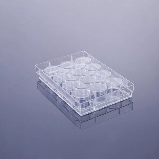12‑Well Clear Flat‑Bottom Cell Culture Plate Non‑Treated Surface Sterile