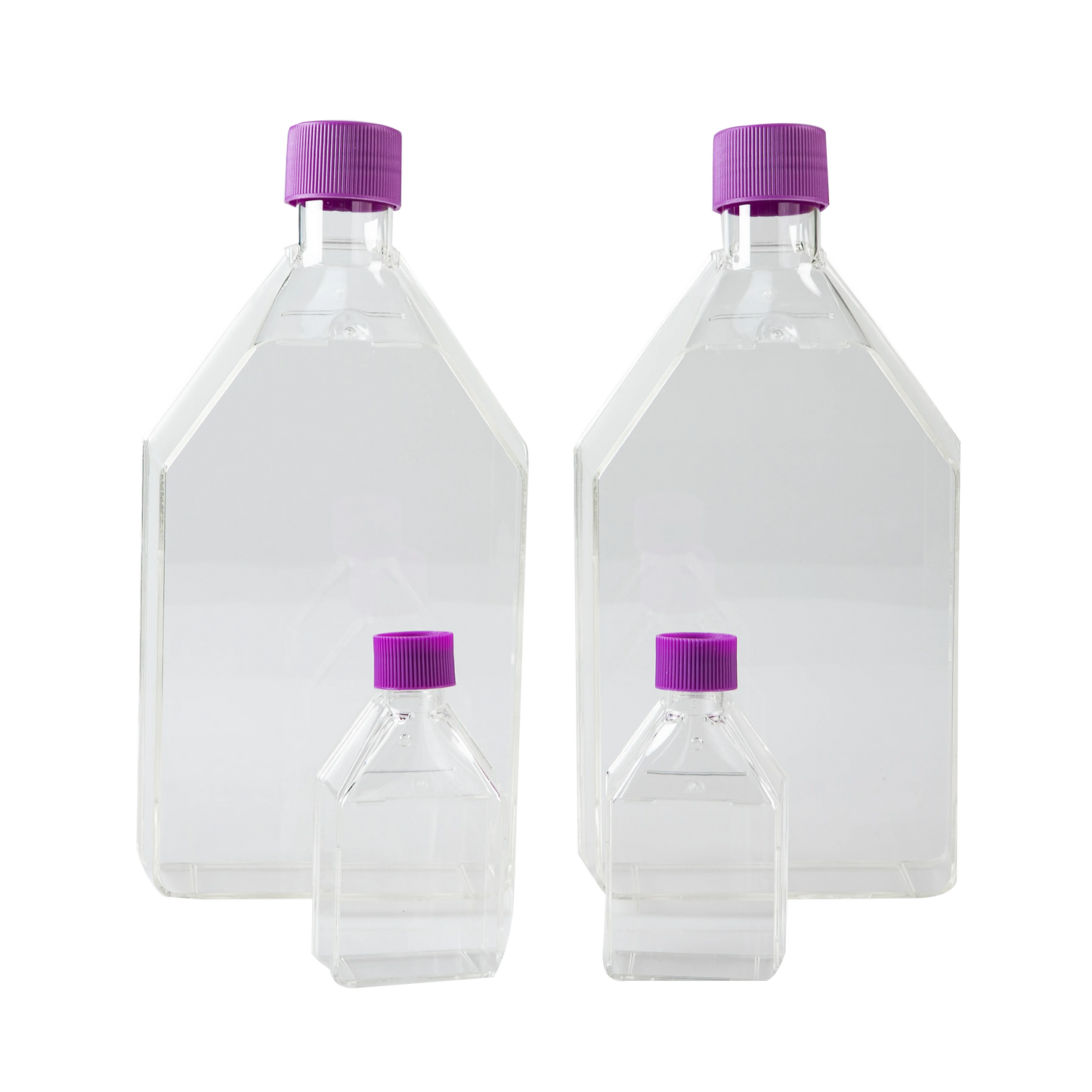 Pipettra 175cm² Cell Culture Flask-Filter Cap