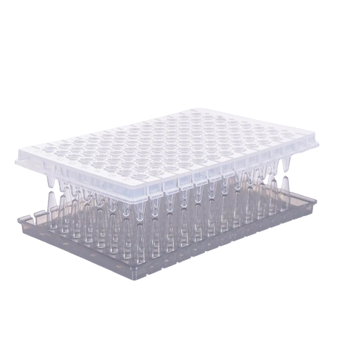 0.2mL 96-Well Clear Polypropylene PCR Microplate