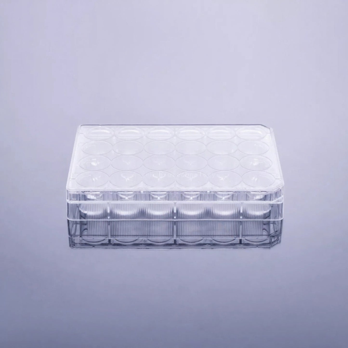 24‑Well Clear Flat‑Bottom Cell Culture Plate Non‑Treated Surface Sterile