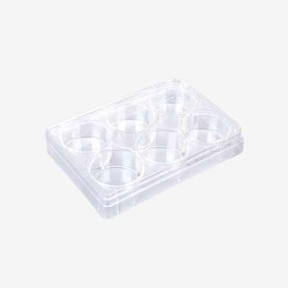 6-Well Transparent TC-Treated Cell Culture Plates with Clear Lid, Sterile
