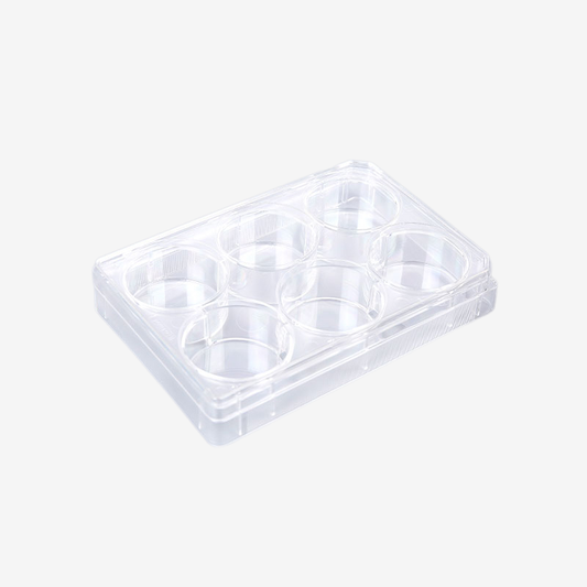 6-Well Transparent TC-Treated Cell Culture Plates with Clear Lid, Sterile