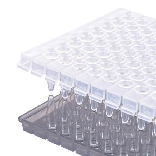 0.2mL 96-Well Clear Polypropylene PCR Microplate