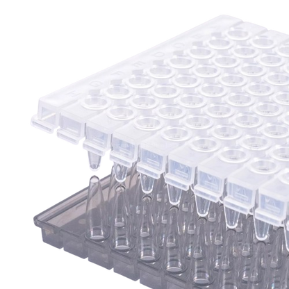 0.2mL 96-Well Clear Polypropylene PCR Microplate