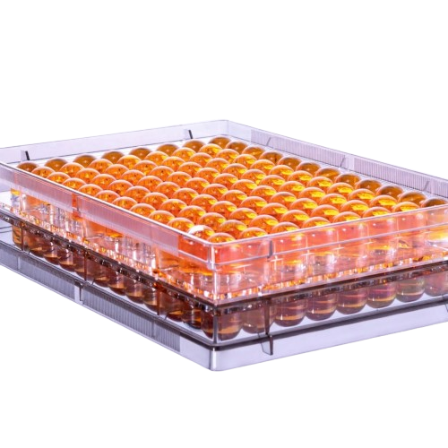 Pipettra 96-Well U-Shaped ELISA Plate, Medium Bind, Clear with Lid