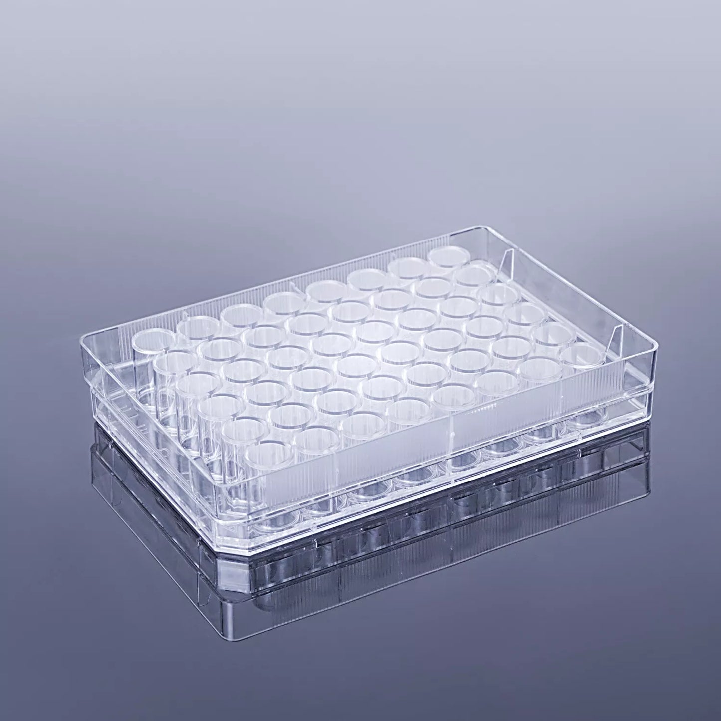 48‑Well Clear Flat‑Bottom Cell Culture Plate Non‑Treated Surface Sterile