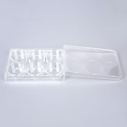 6-Well Transparent TC-Treated Cell Culture Plates with Clear Lid, Sterile