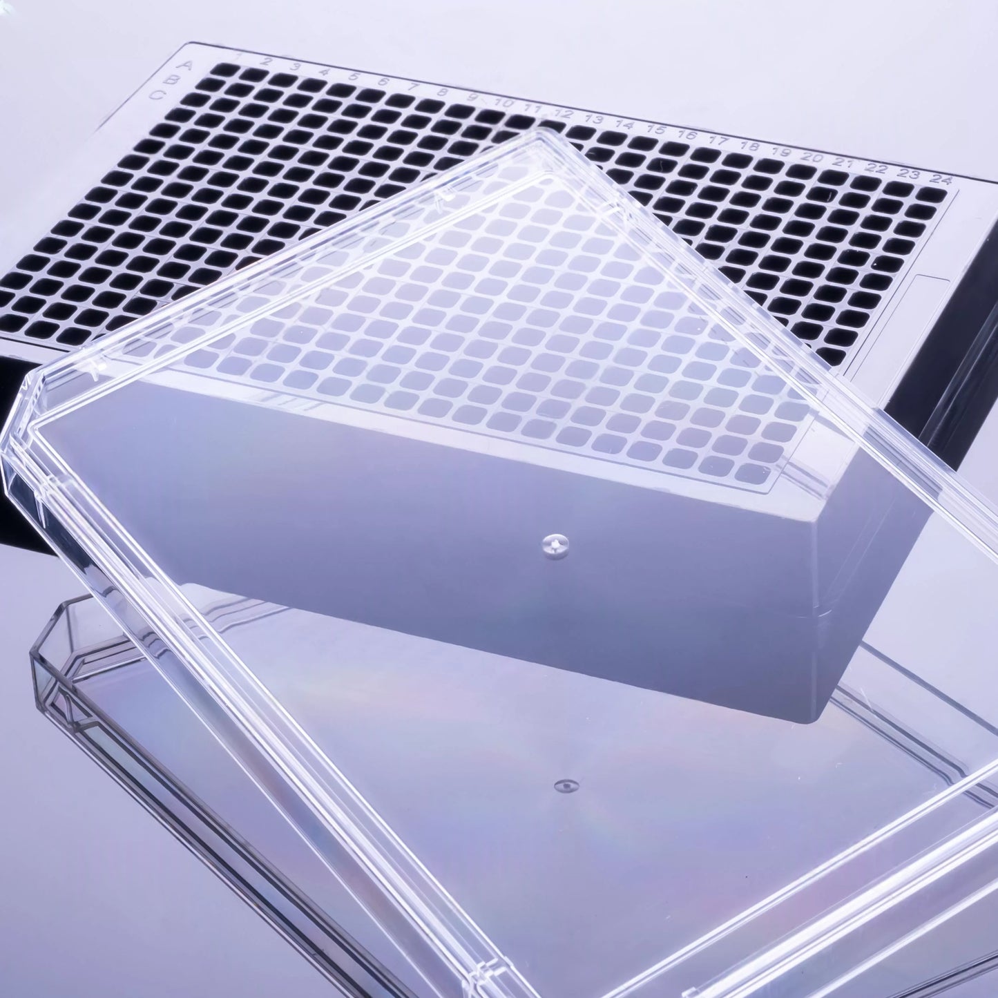 Pipettra 384-Well High-Binding ELISA Plate, Black, with Clear Lid