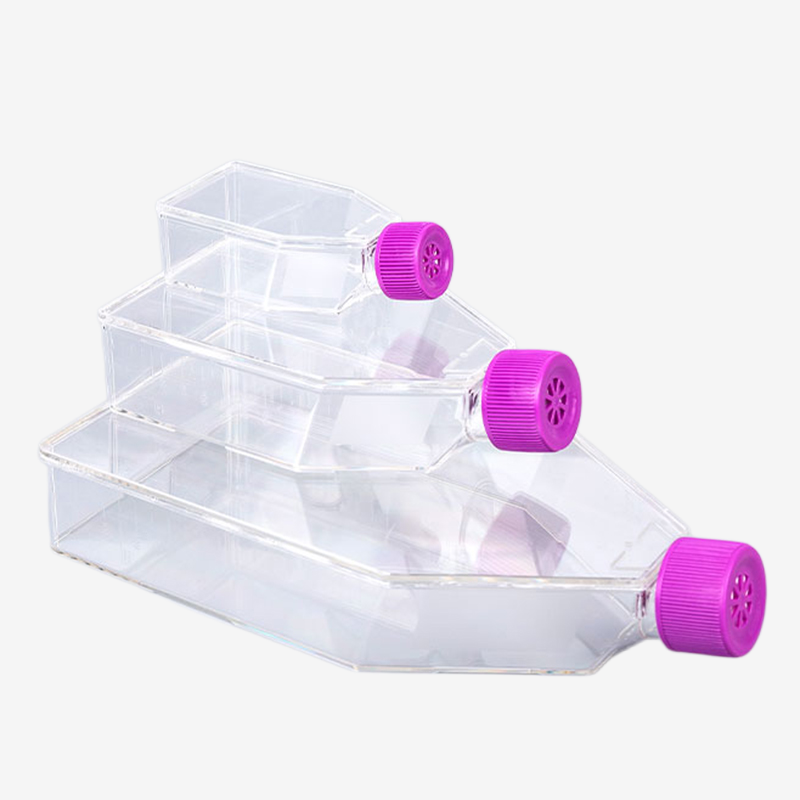 75cm² TC-Treated Cell Culture Flask-Filter Cap – Pipettra