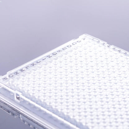 384-Well PCR Plate Fully Skirted, Transparent, Single-Cut Design