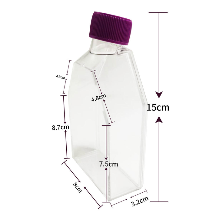 25cm² Rectangular angled Neck Cell Culture Flask – Pipettra