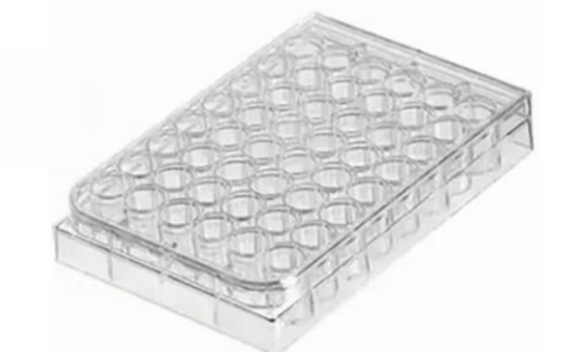48-Well Transparent TC-Treated Cell Culture Plates with Clear Lid, Sterile, Individually Wrapped Regular