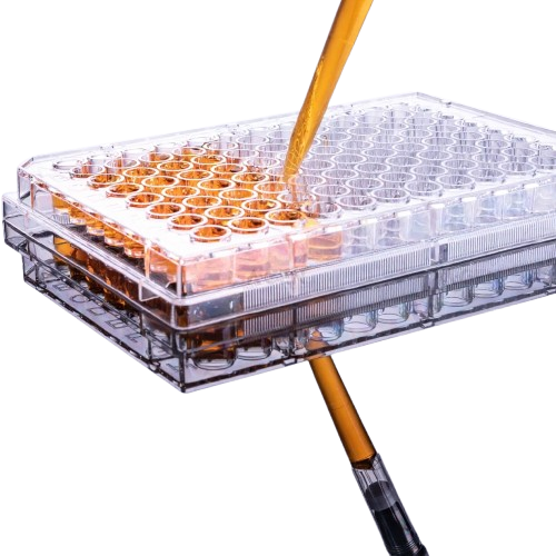 Pipettra 96-Well High-Affinity ELISA Plate, Clear, with Clear Lid